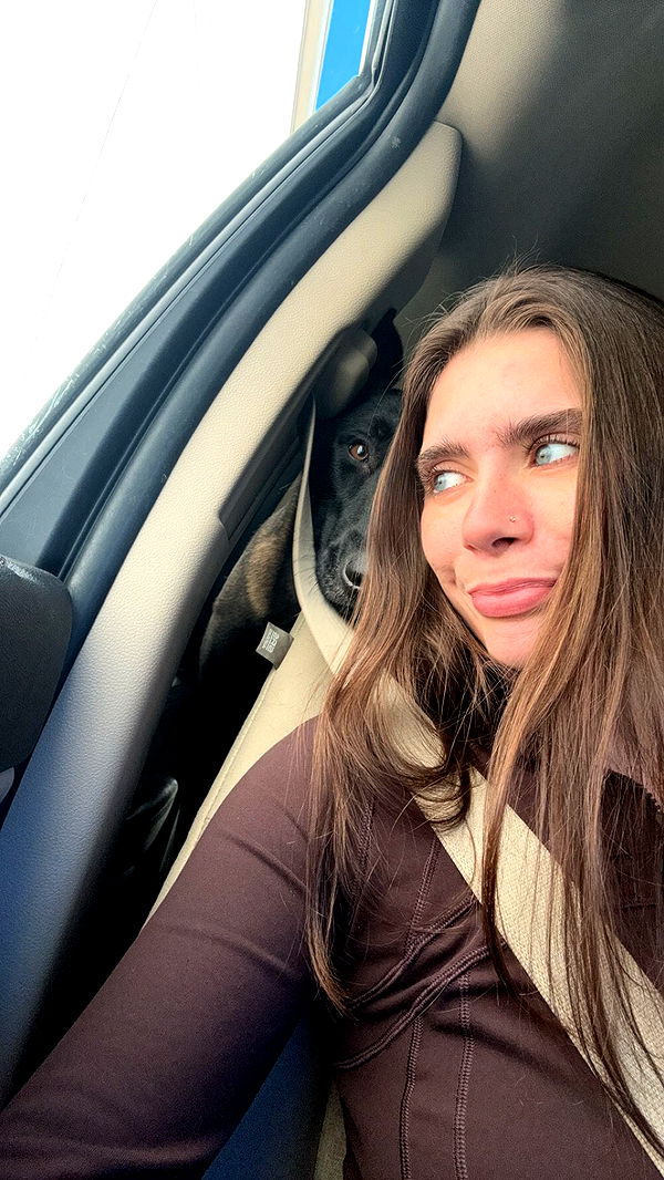 mckinley_1 image ~ Altpins