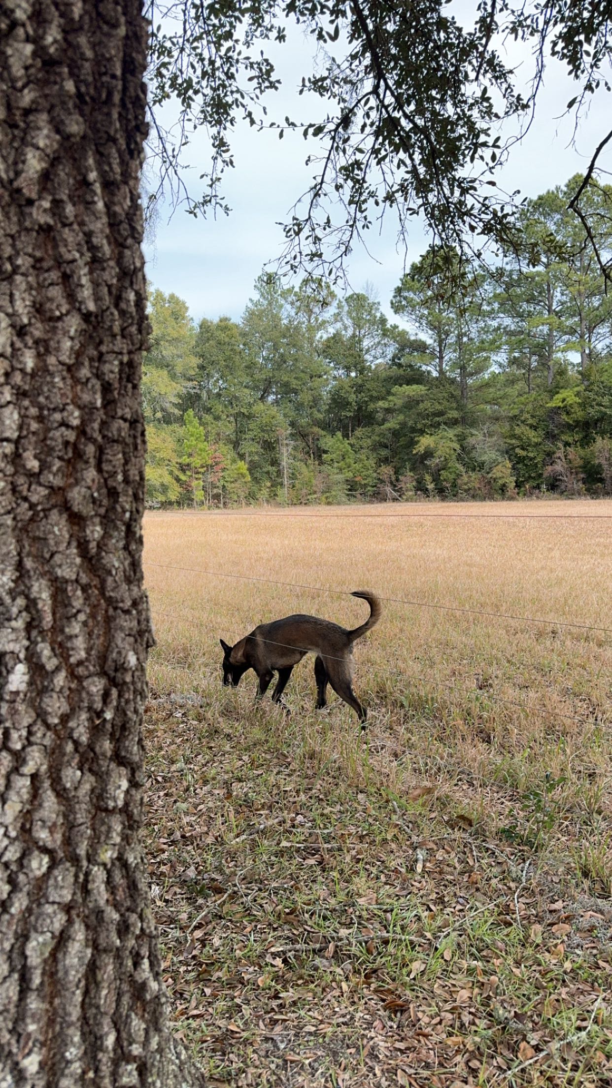 mckinley_1 snapchat image archive image