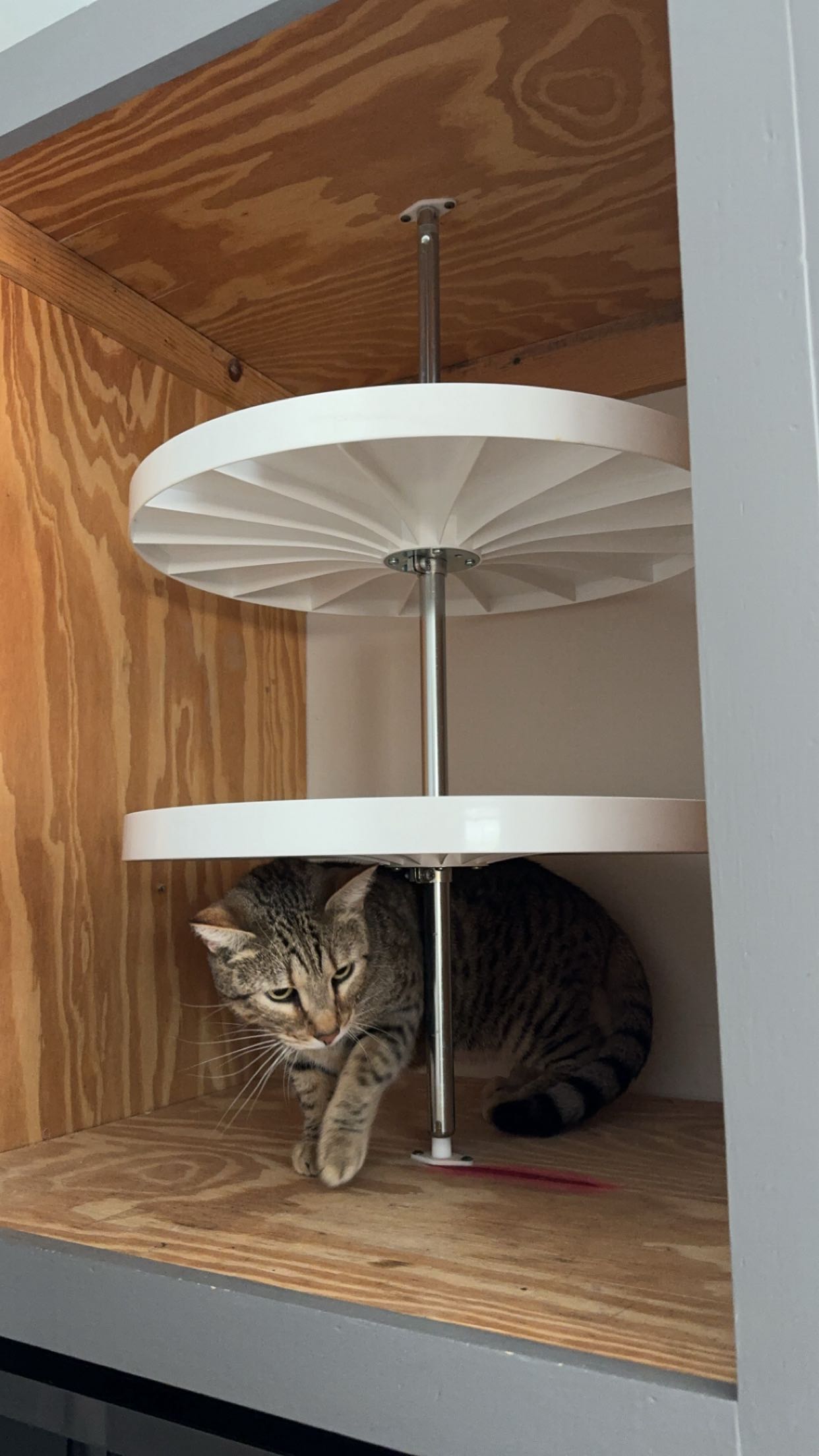 mckinley_1 snapchat image archive image