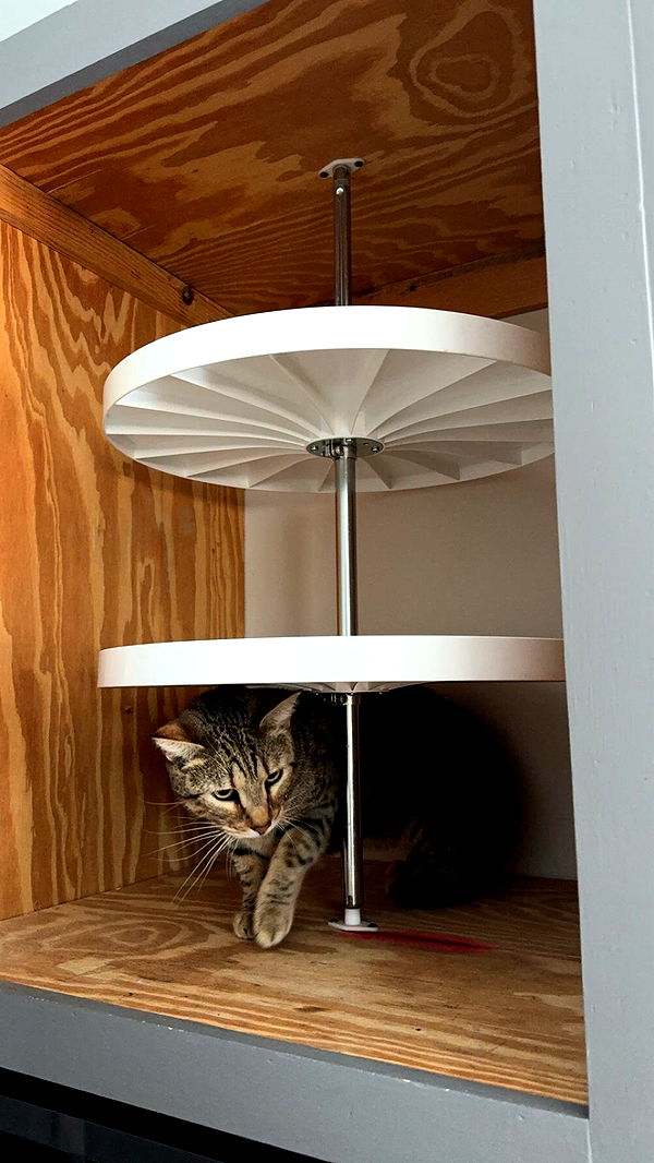 mckinley_1 image ~ Altpins