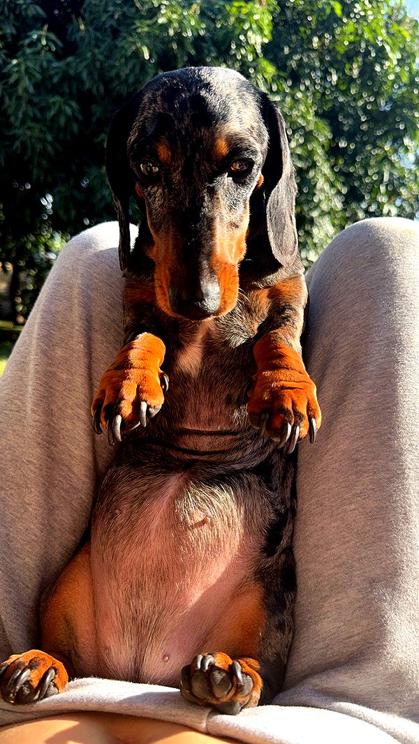 mckinley_1 image ~ Altpins