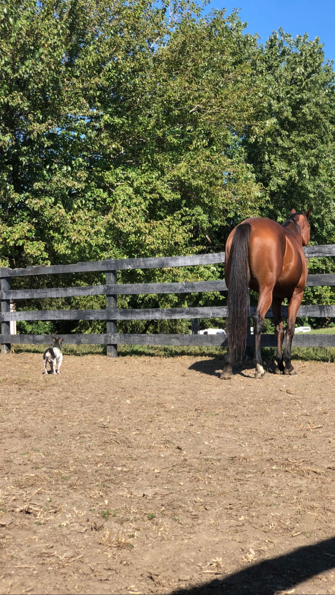 mckinley_1 snapchat image archive image