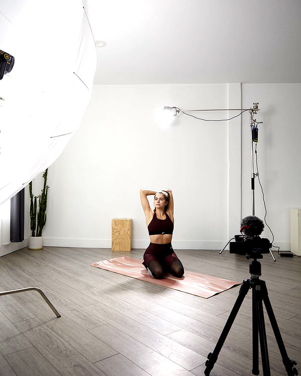 mckinley_1 image ~ Altpins