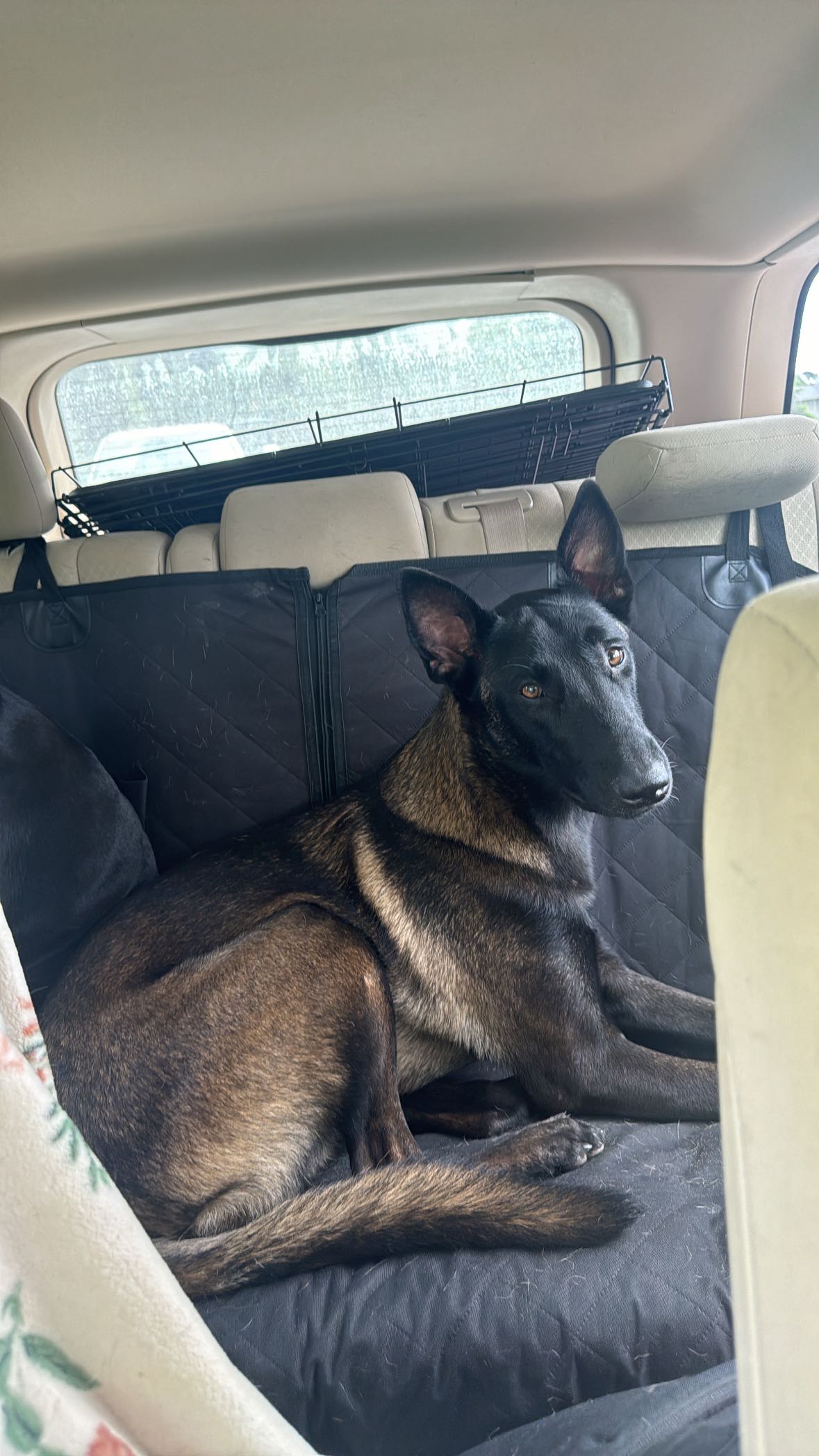 mckinley_1 snapchat image archive image