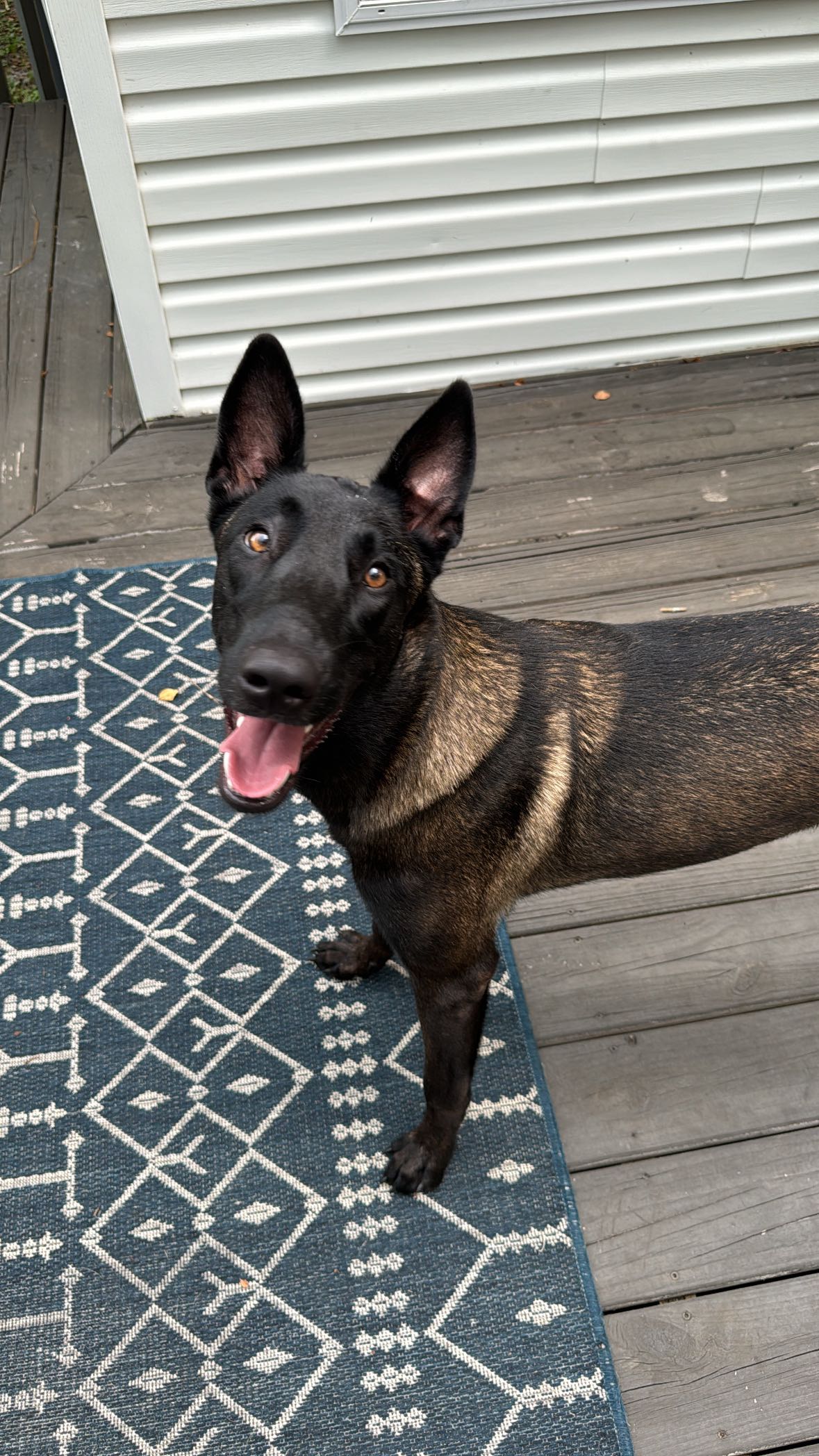 mckinley_1 snapchat image archive image