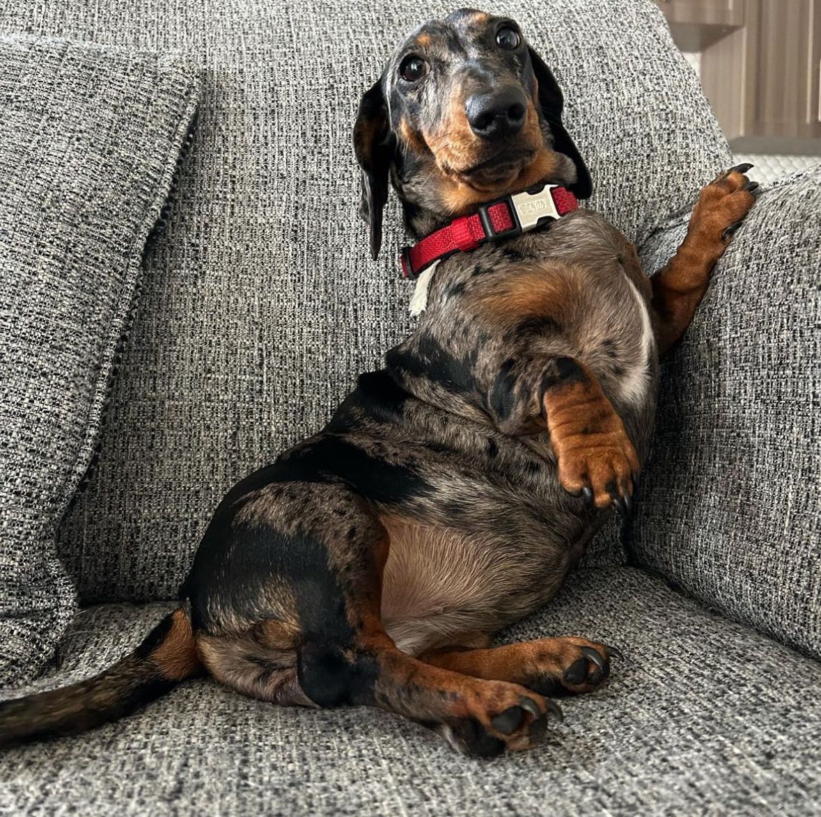 mckinley_1 snapchat image archive image