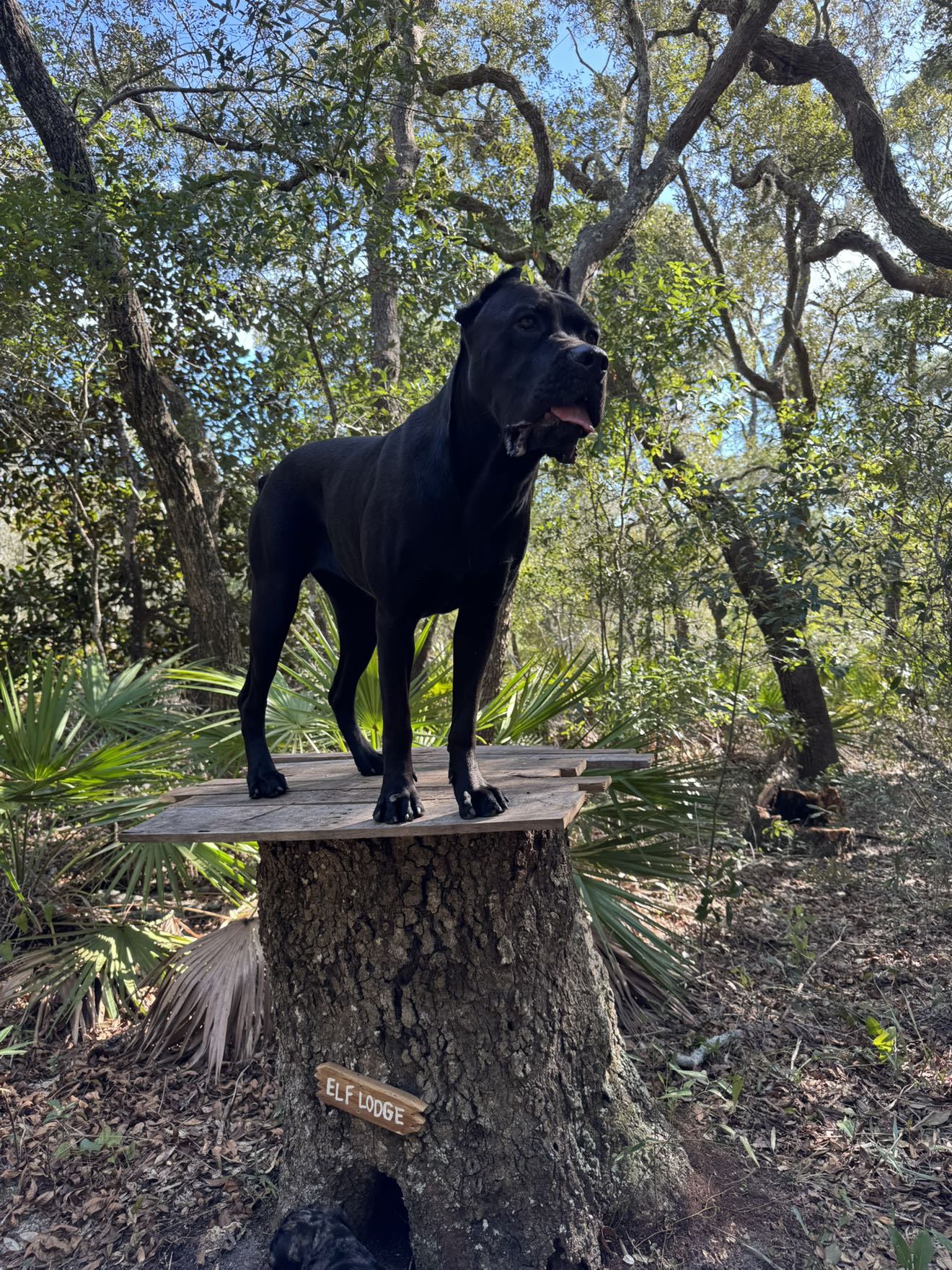 mckinley_1 snapchat image archive image