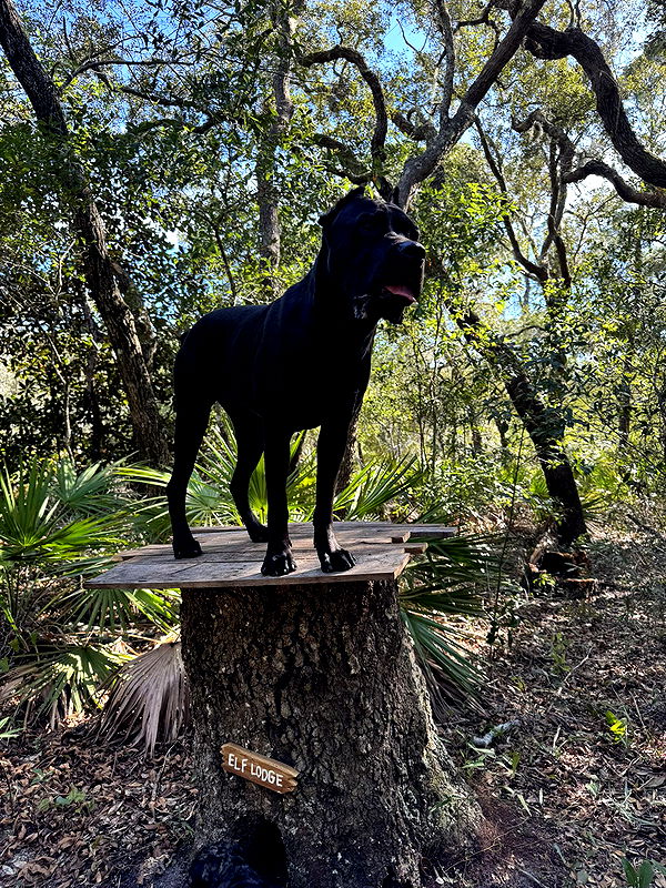 mckinley_1 image ~ Altpins