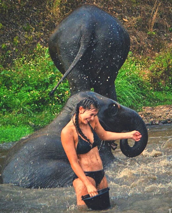 mckinley_1 image ~ Altpins