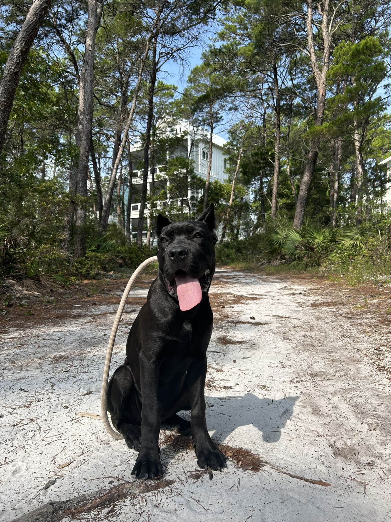 mckinley_1 snapchat image archive image