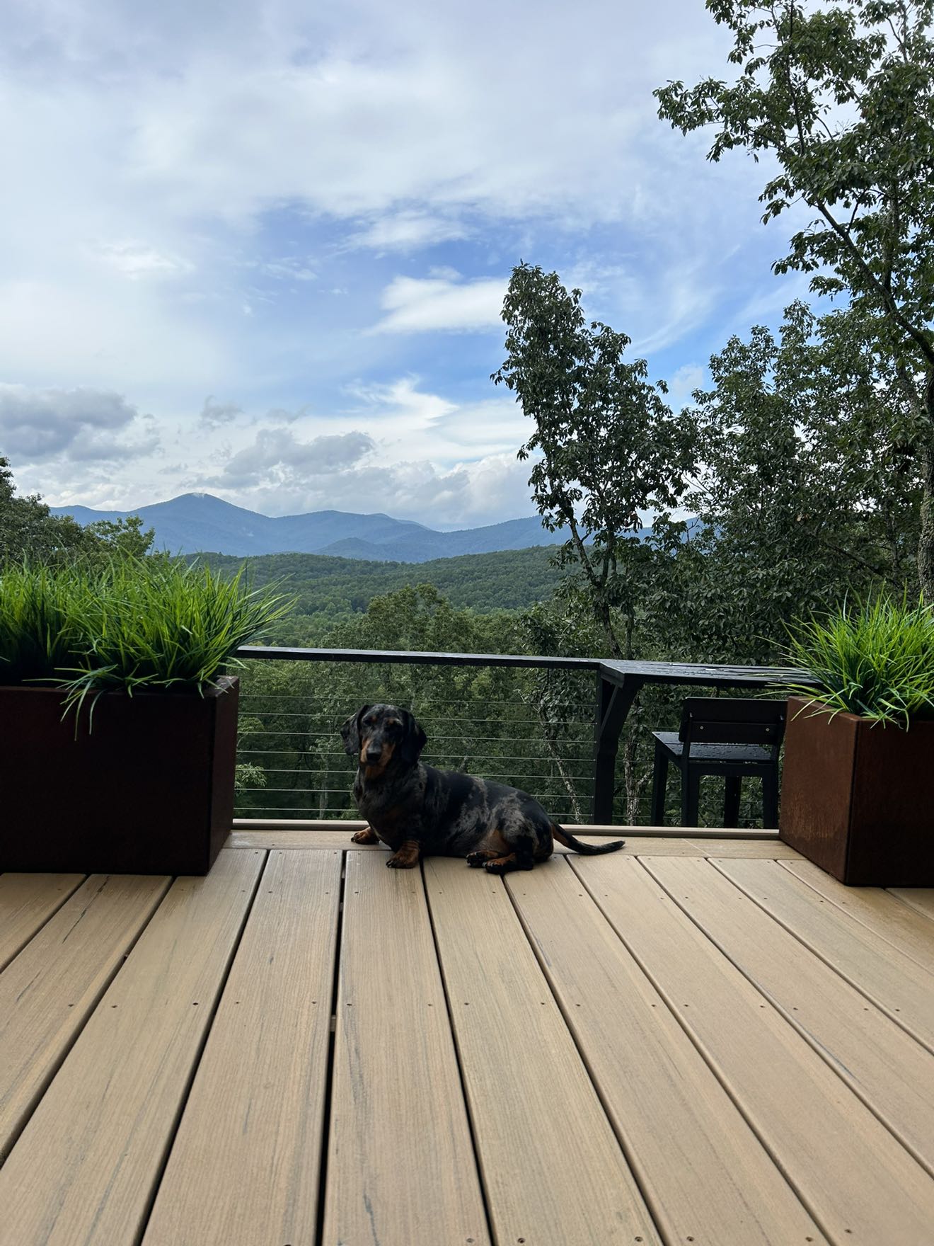 mckinley_1 snapchat image archive image