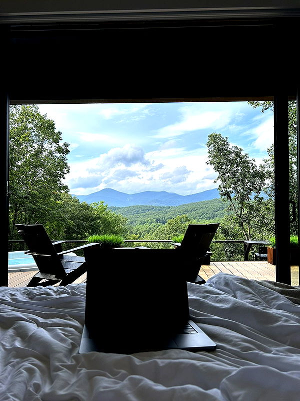 mckinley_1 image ~ Altpins