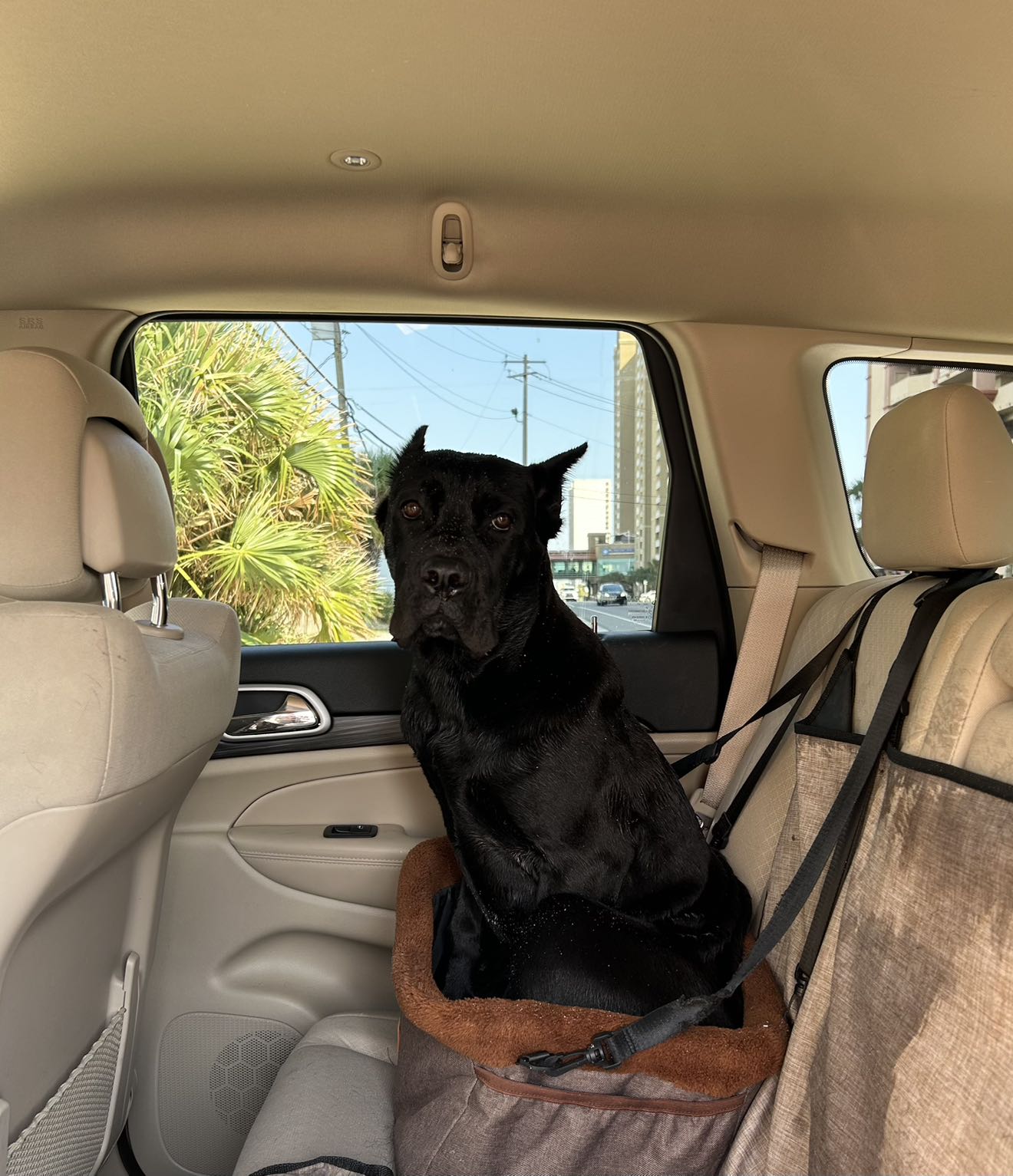 mckinley_1 snapchat image archive image