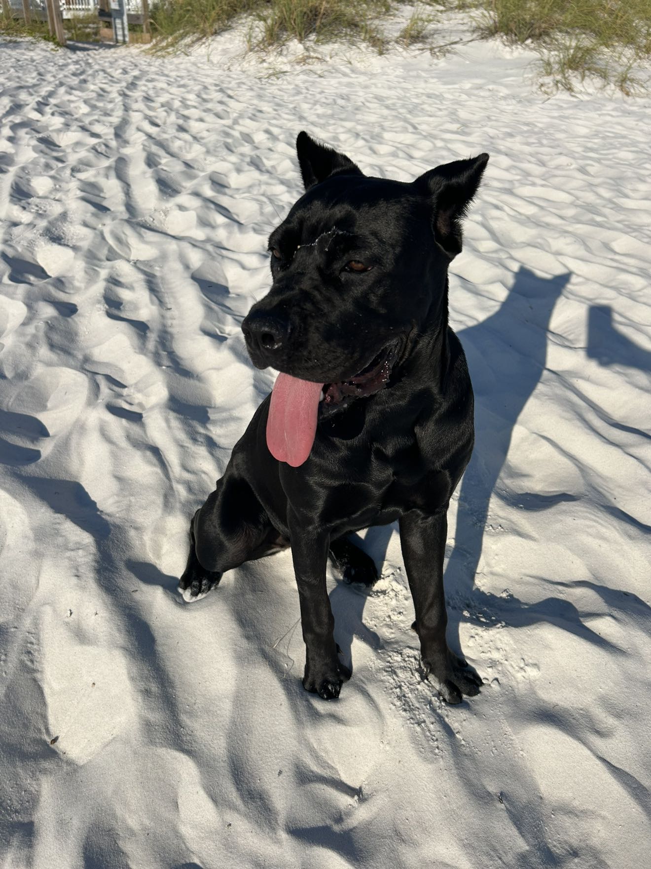 mckinley_1 snapchat image archive image