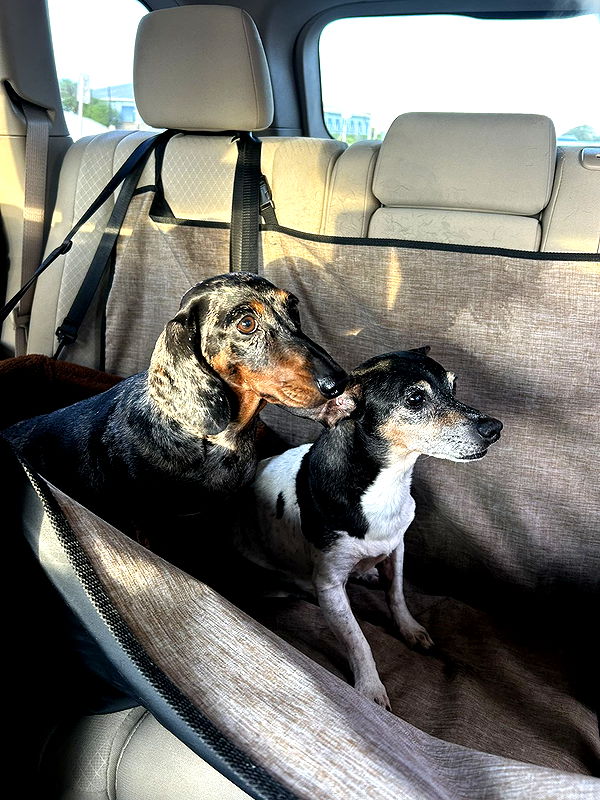 mckinley_1 image ~ Altpins