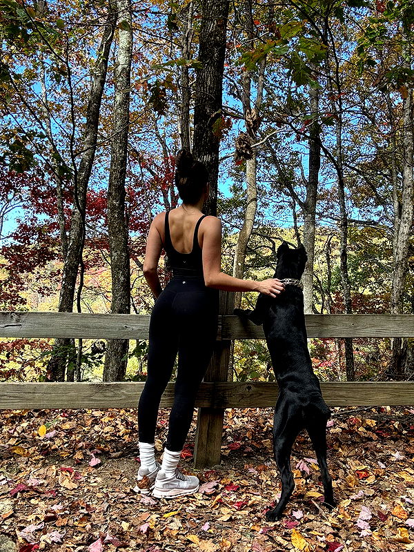 mckinley_1 image ~ Altpins