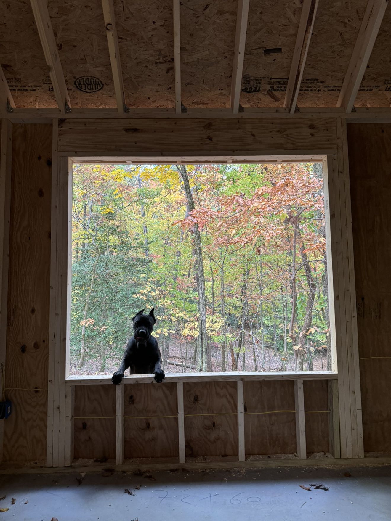 mckinley_1 snapchat image archive image