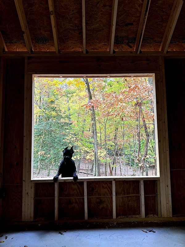 mckinley_1 image ~ Altpins