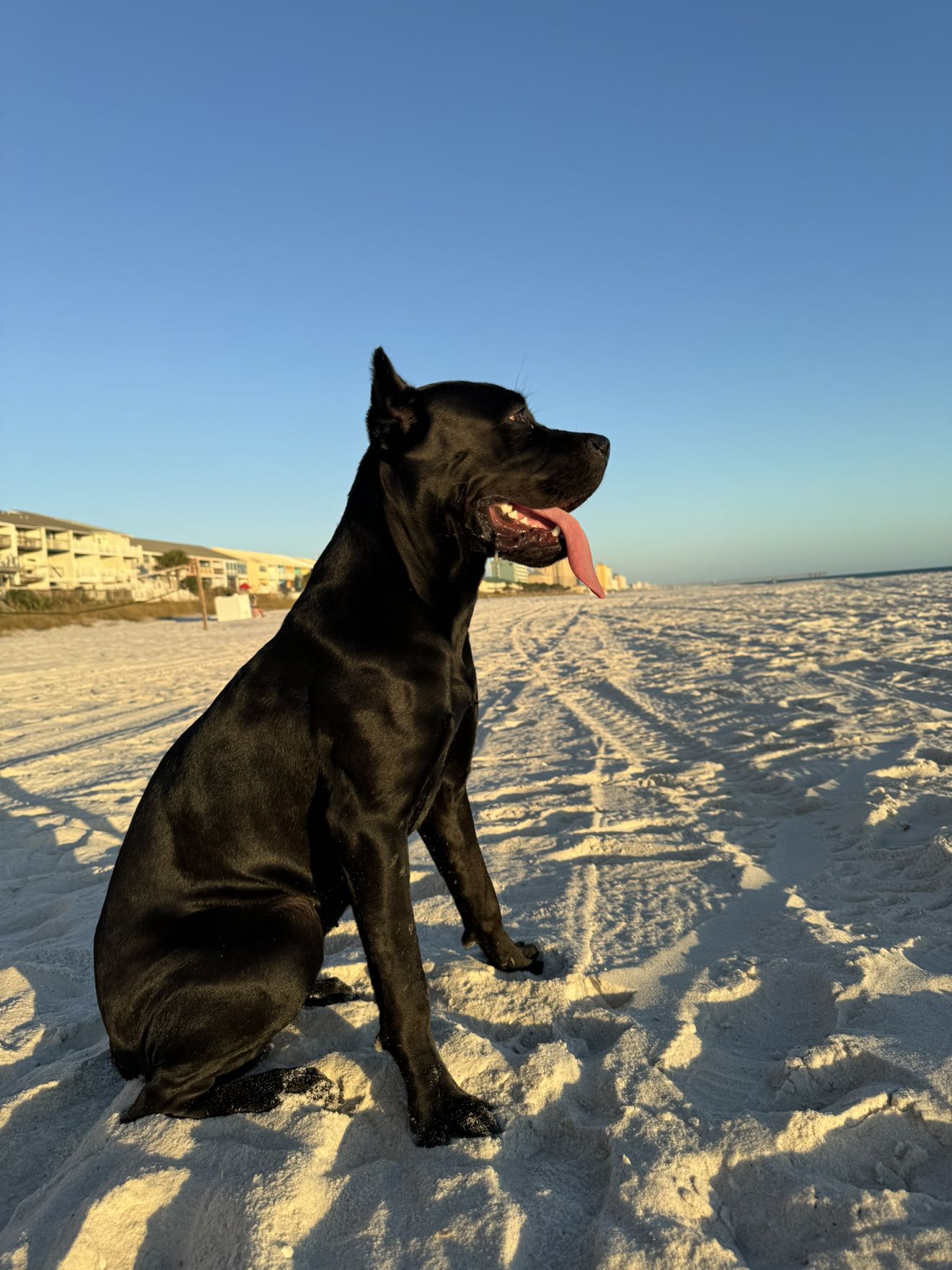 mckinley_1 snapchat image archive image