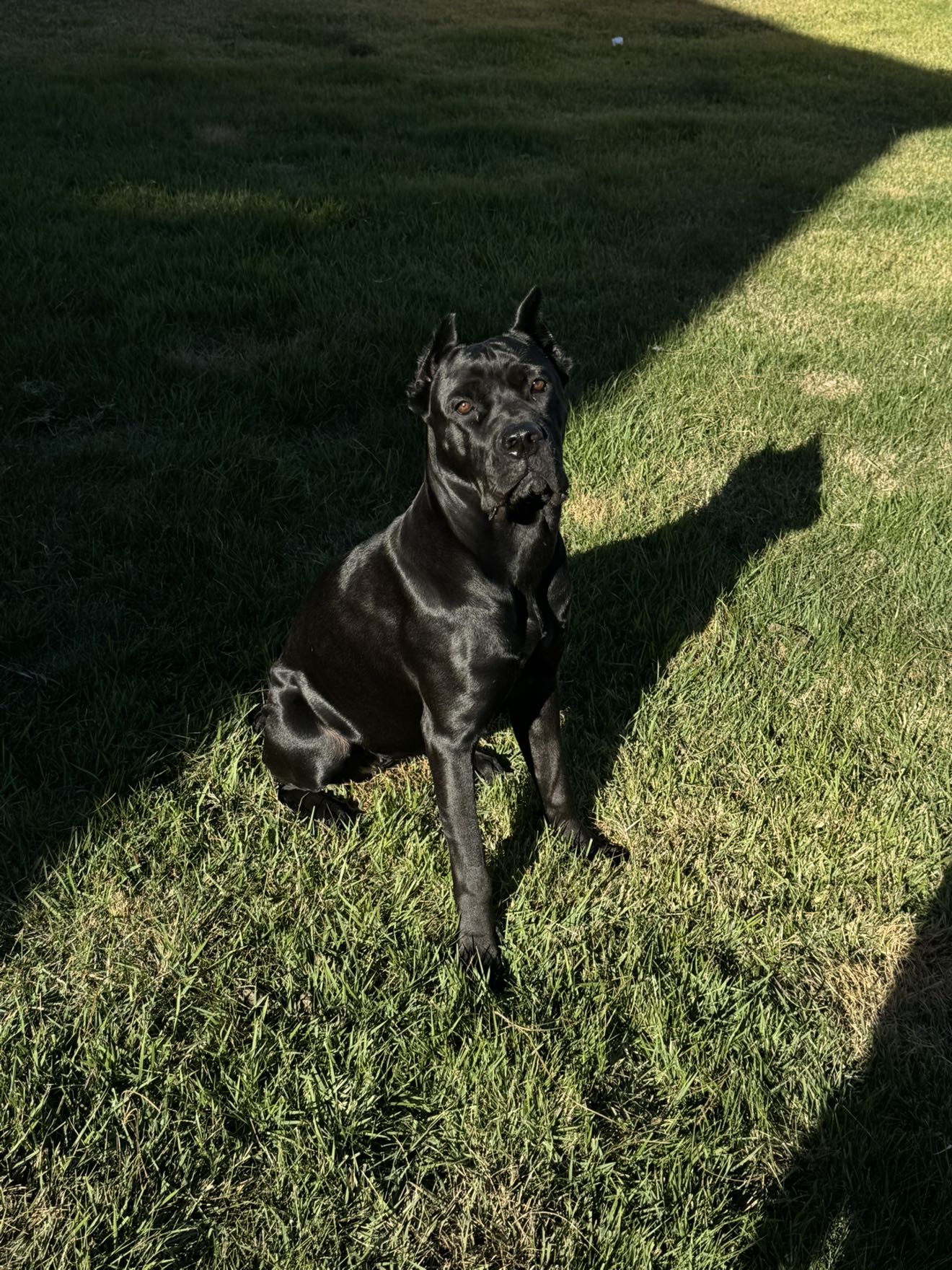 mckinley_1 snapchat image archive image