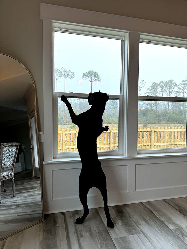 mckinley_1 image ~ Altpins