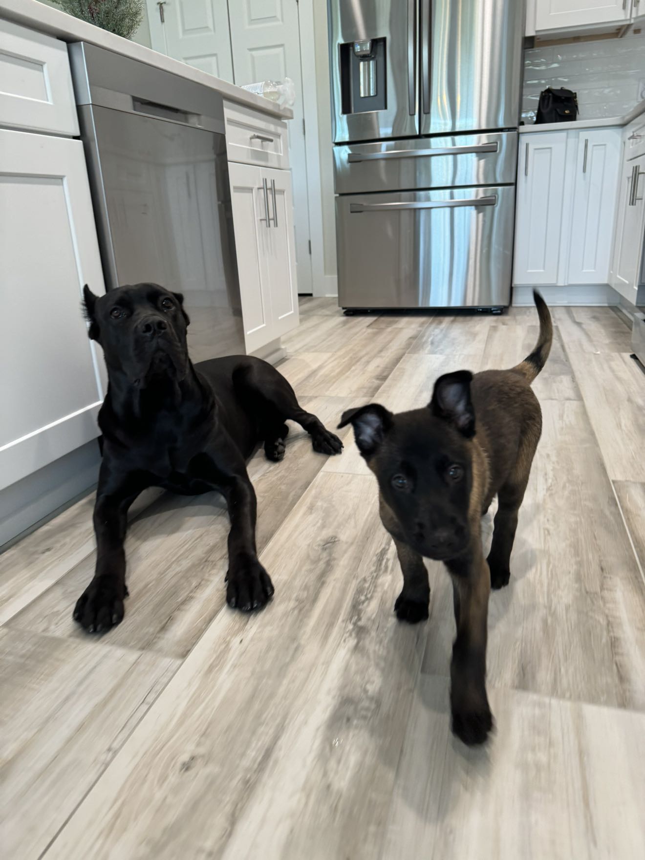 mckinley_1 snapchat image archive image