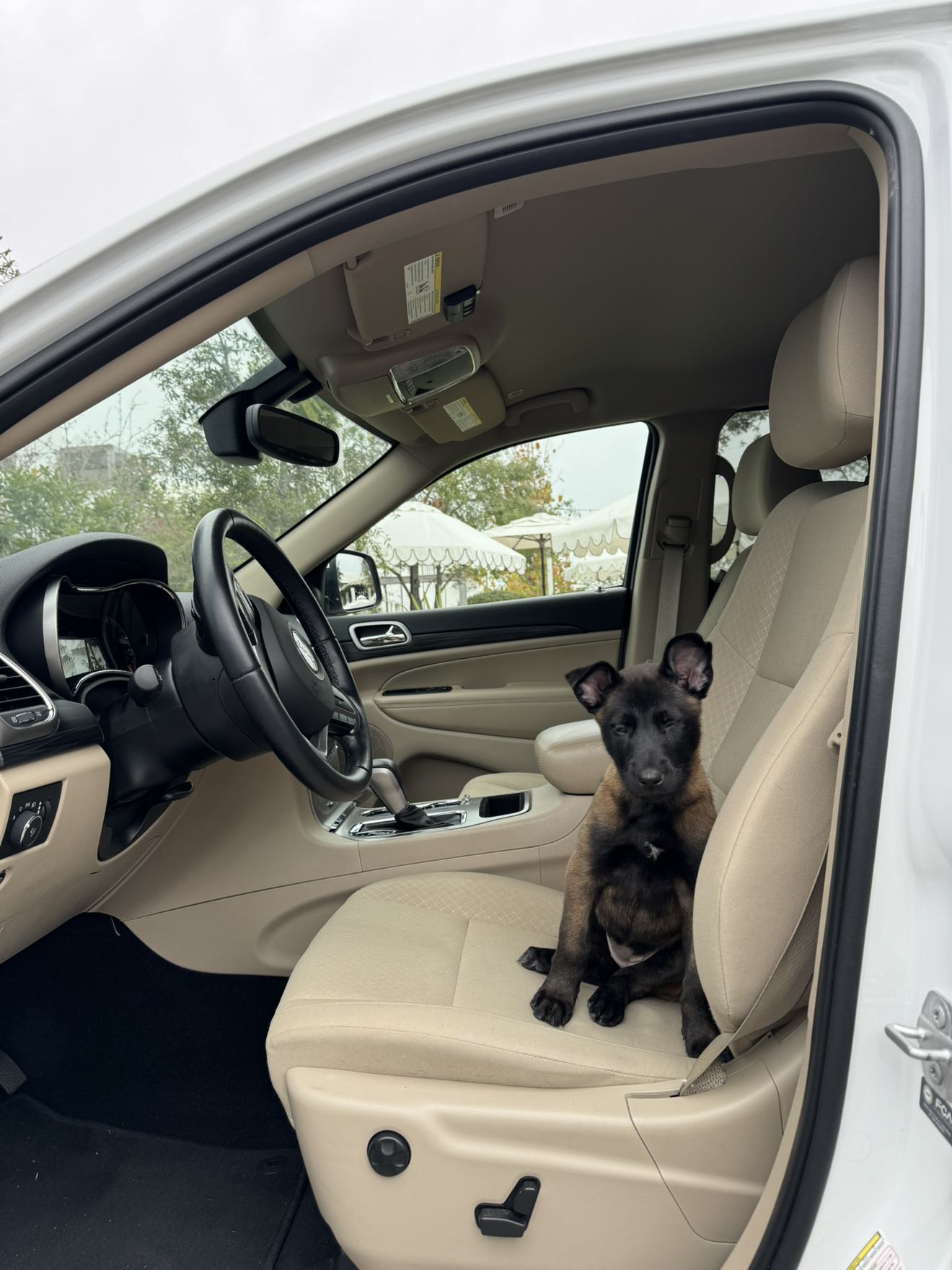 mckinley_1 snapchat image archive image