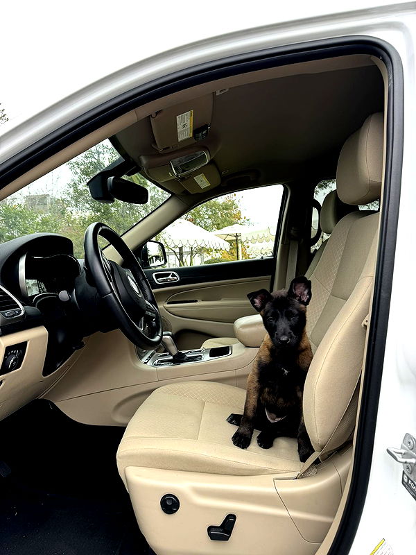 mckinley_1 image ~ Altpins