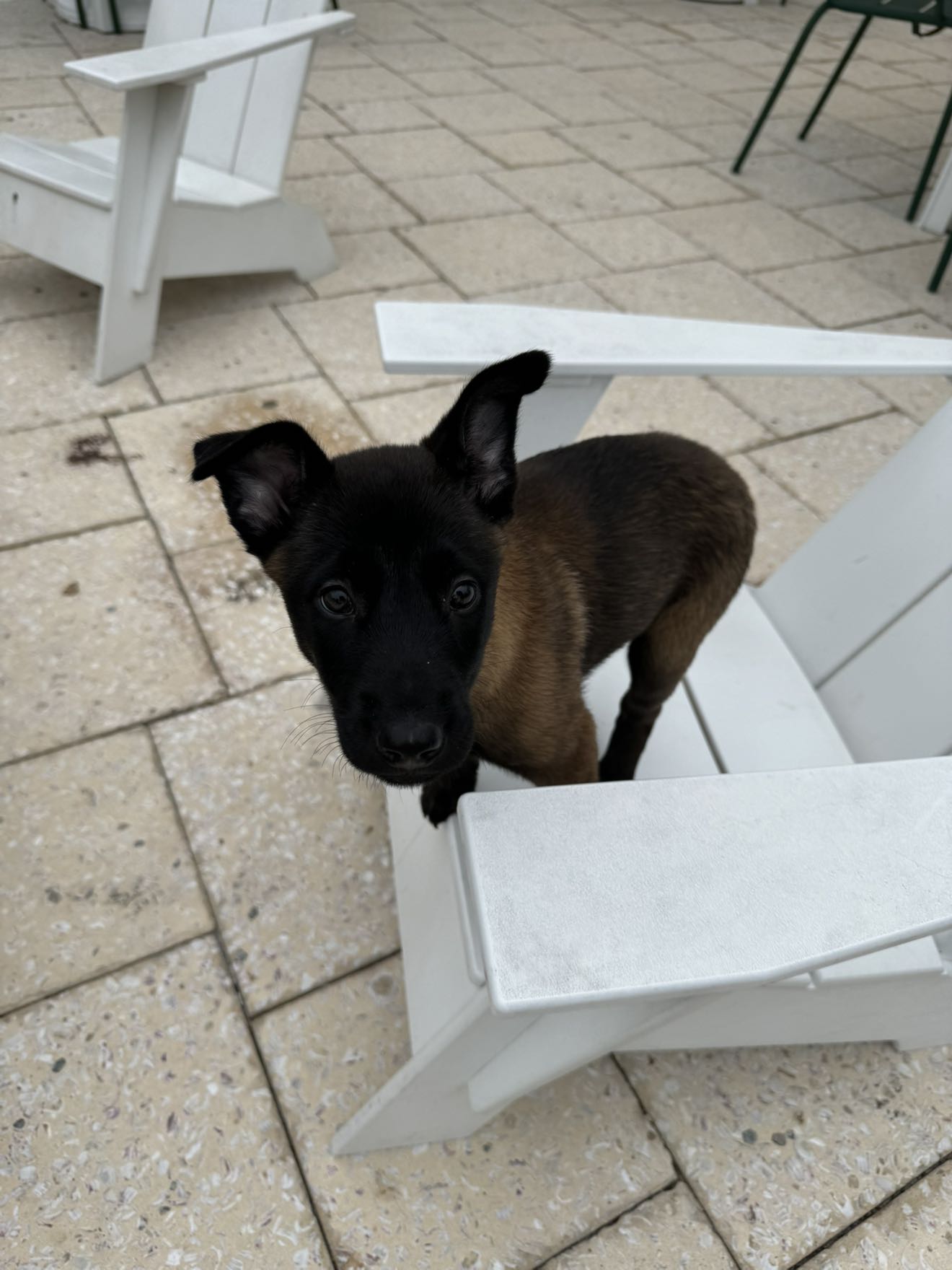 mckinley_1 snapchat image archive image