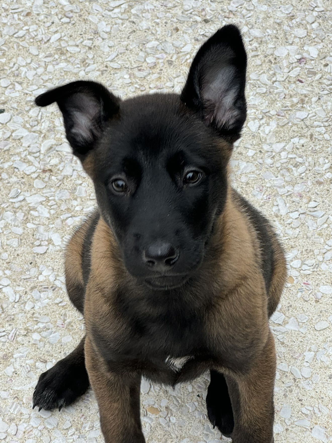 mckinley_1 snapchat image archive image