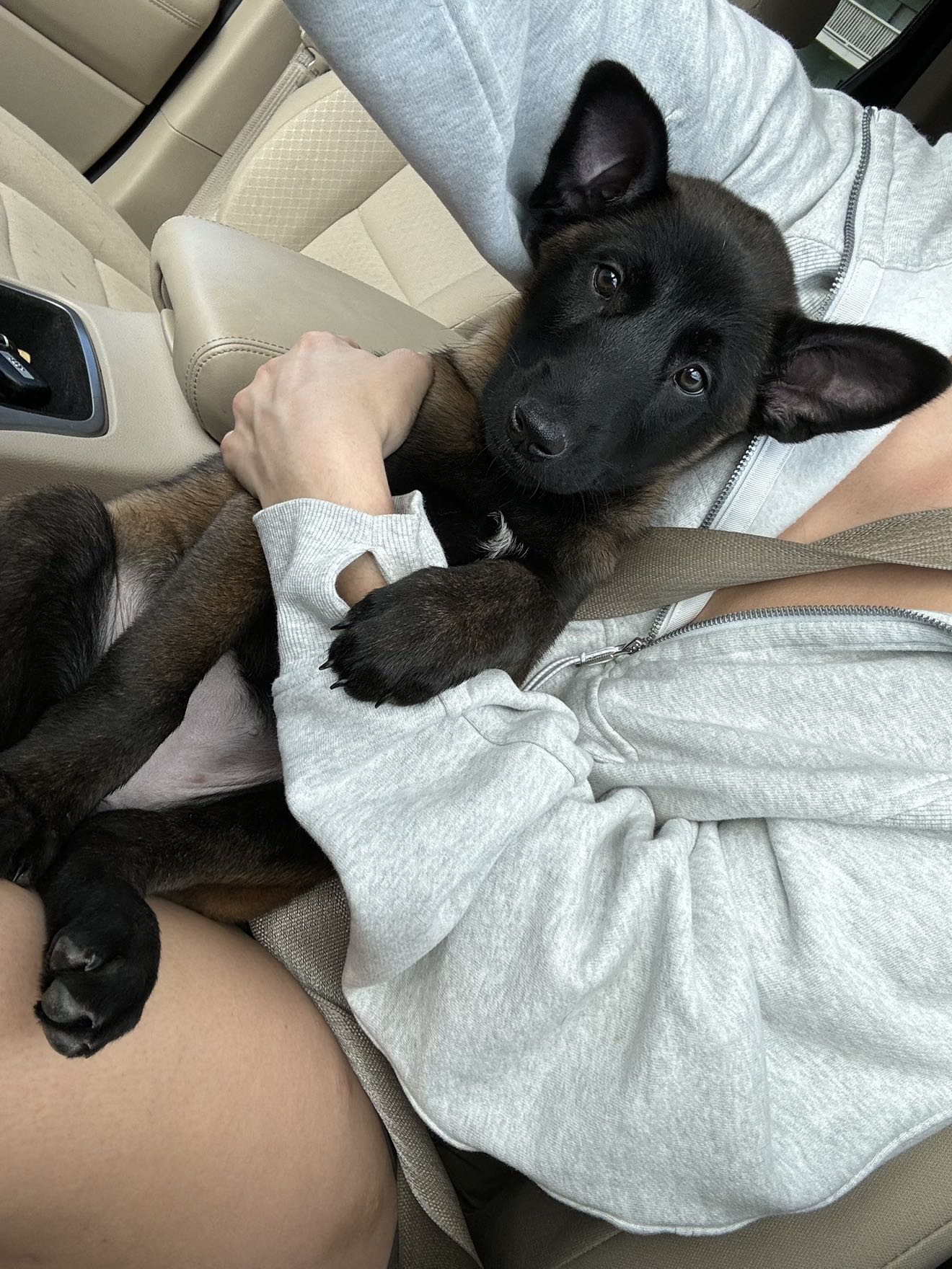 mckinley_1 snapchat image archive image