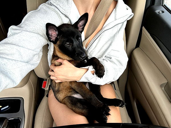 mckinley_1 image ~ Altpins