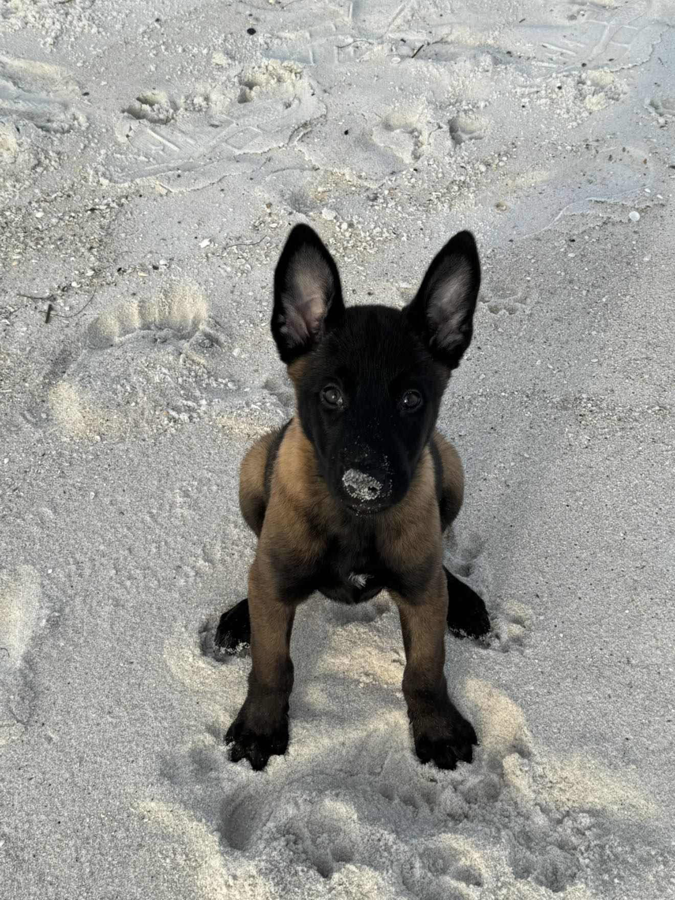 mckinley_1 snapchat image archive image