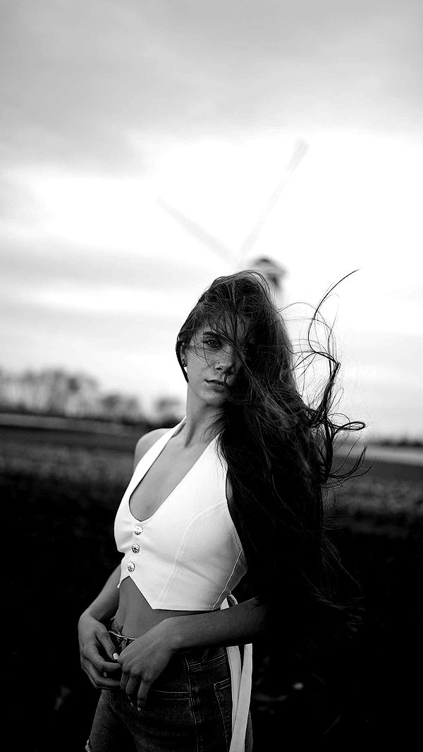 mckinley_1 image ~ Altpins