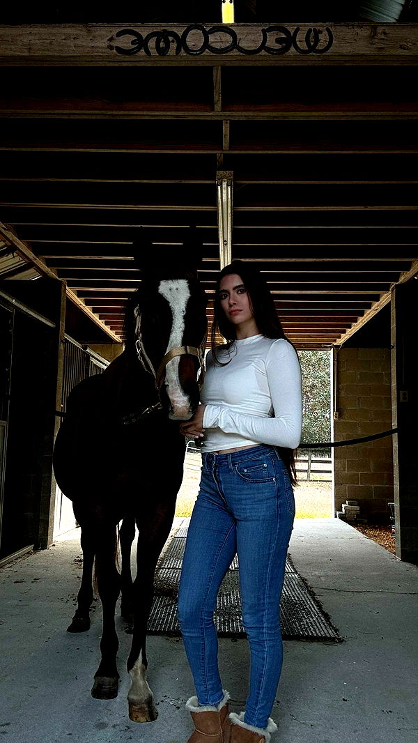 mckinley_1 image ~ Altpins