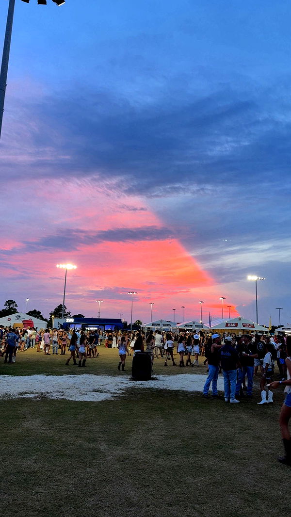 mckinley_1 image ~ Altpins