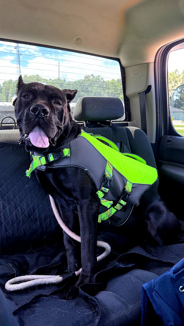 mckinley_1 image ~ Altpins