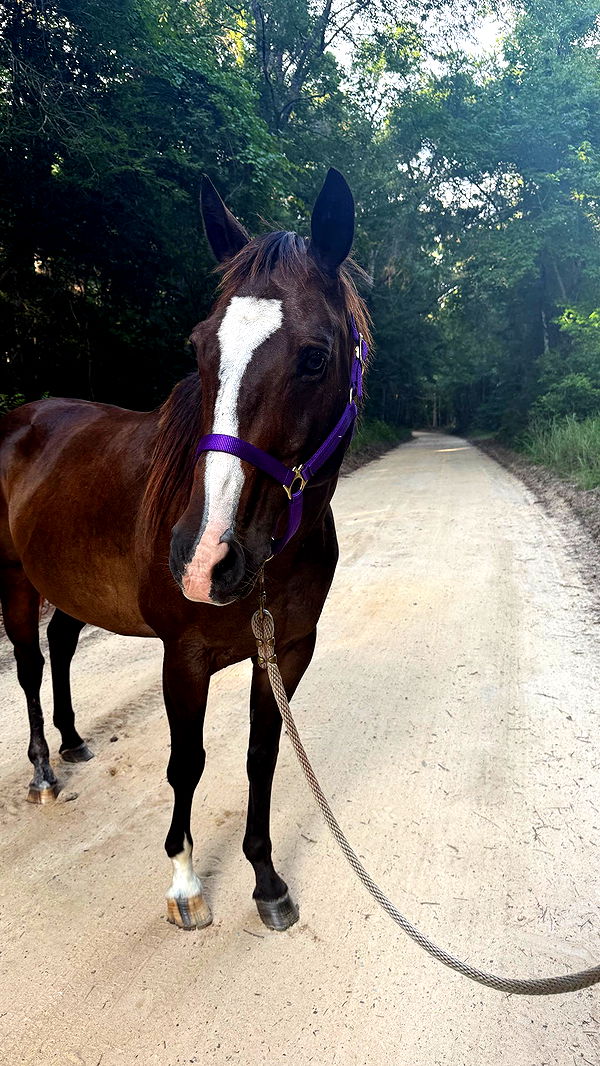 mckinley_1 image ~ Altpins