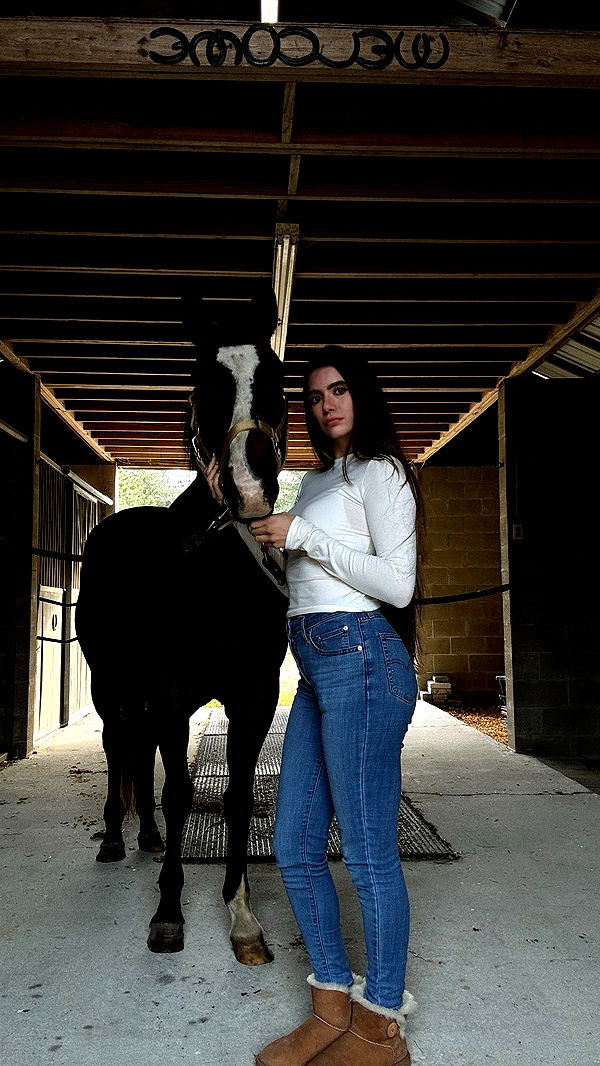 mckinley_1 image ~ Altpins