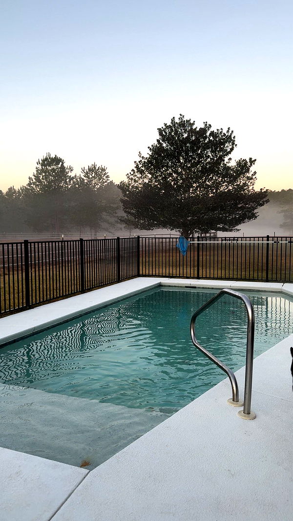 mckinley_1 image ~ Altpins