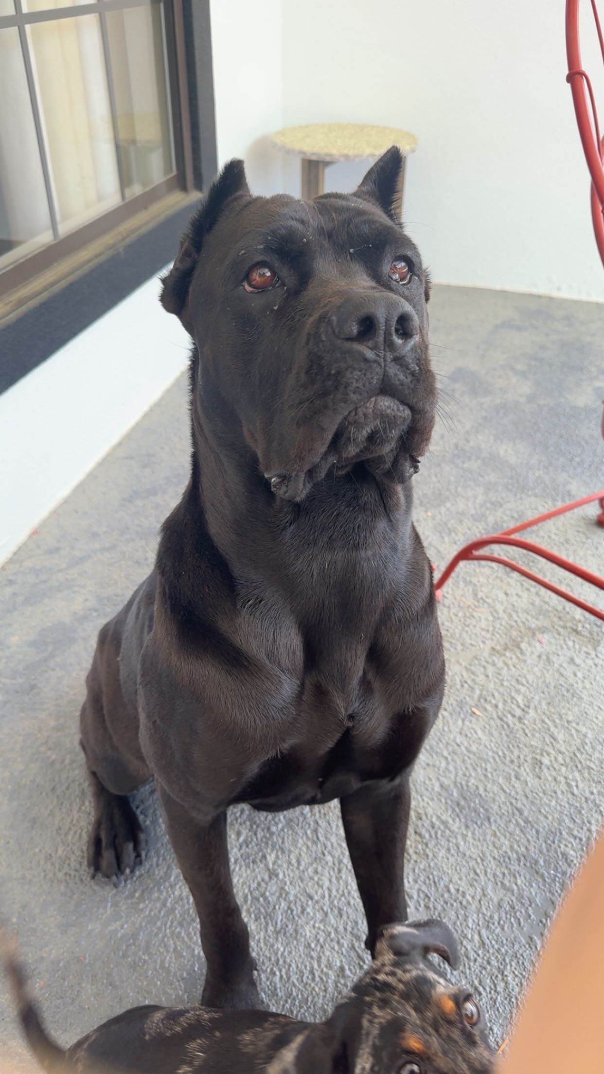 mckinley_1 snapchat image archive image