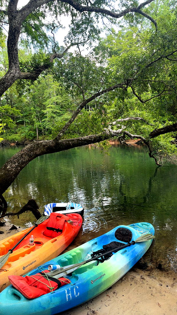 mckinley_1 image ~ Altpins