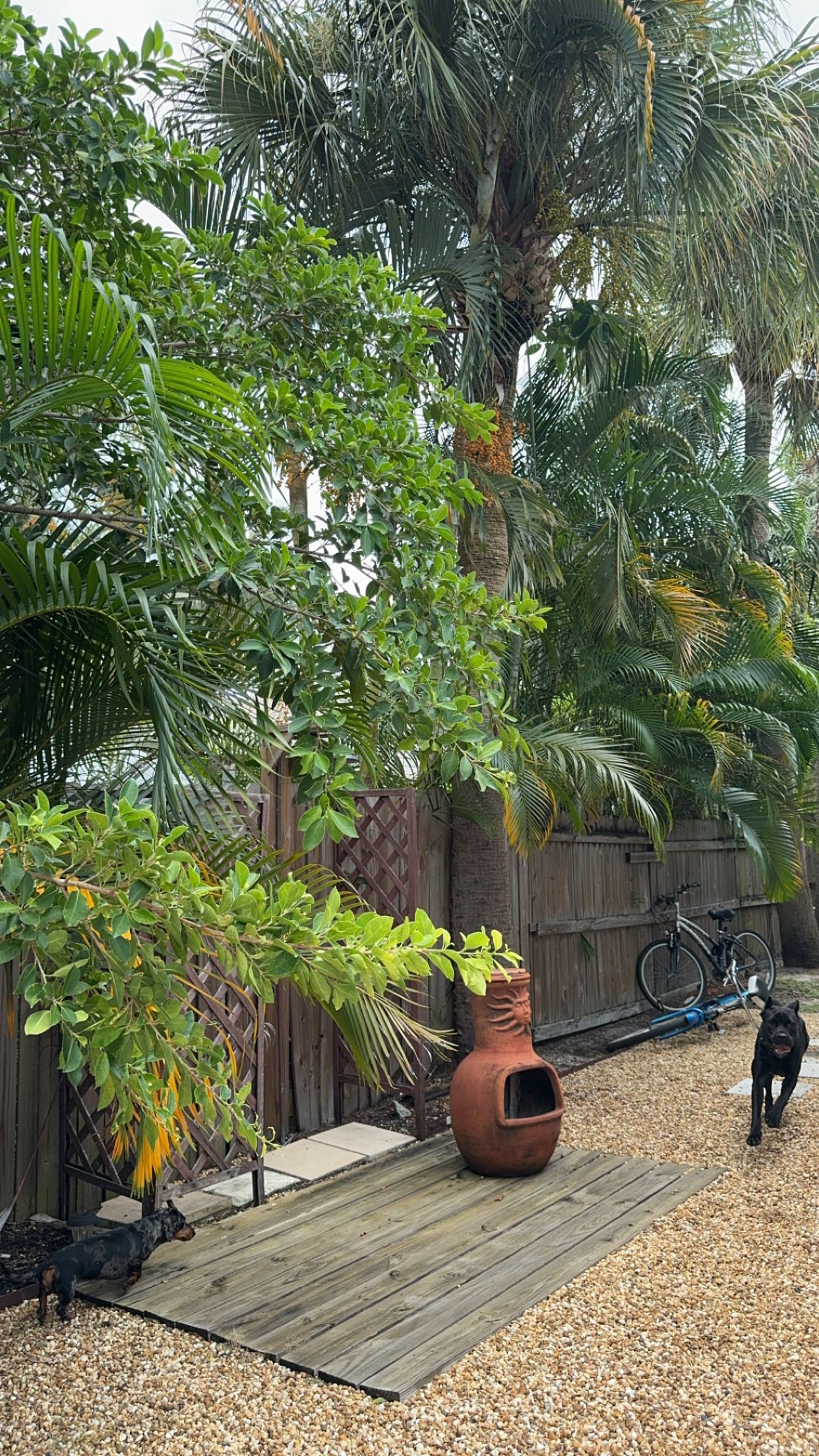 mckinley_1 snapchat image archive image