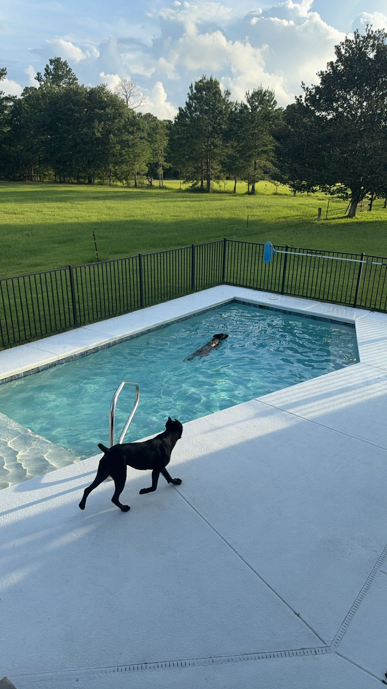 mckinley_1 snapchat image archive image