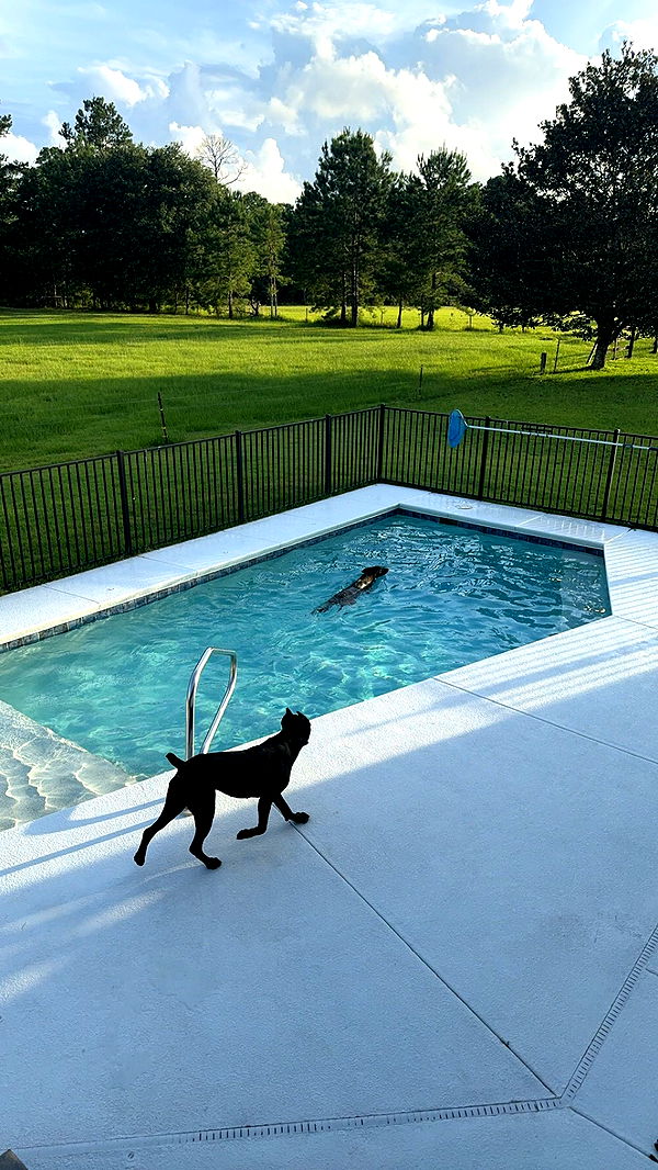 mckinley_1 image ~ Altpins