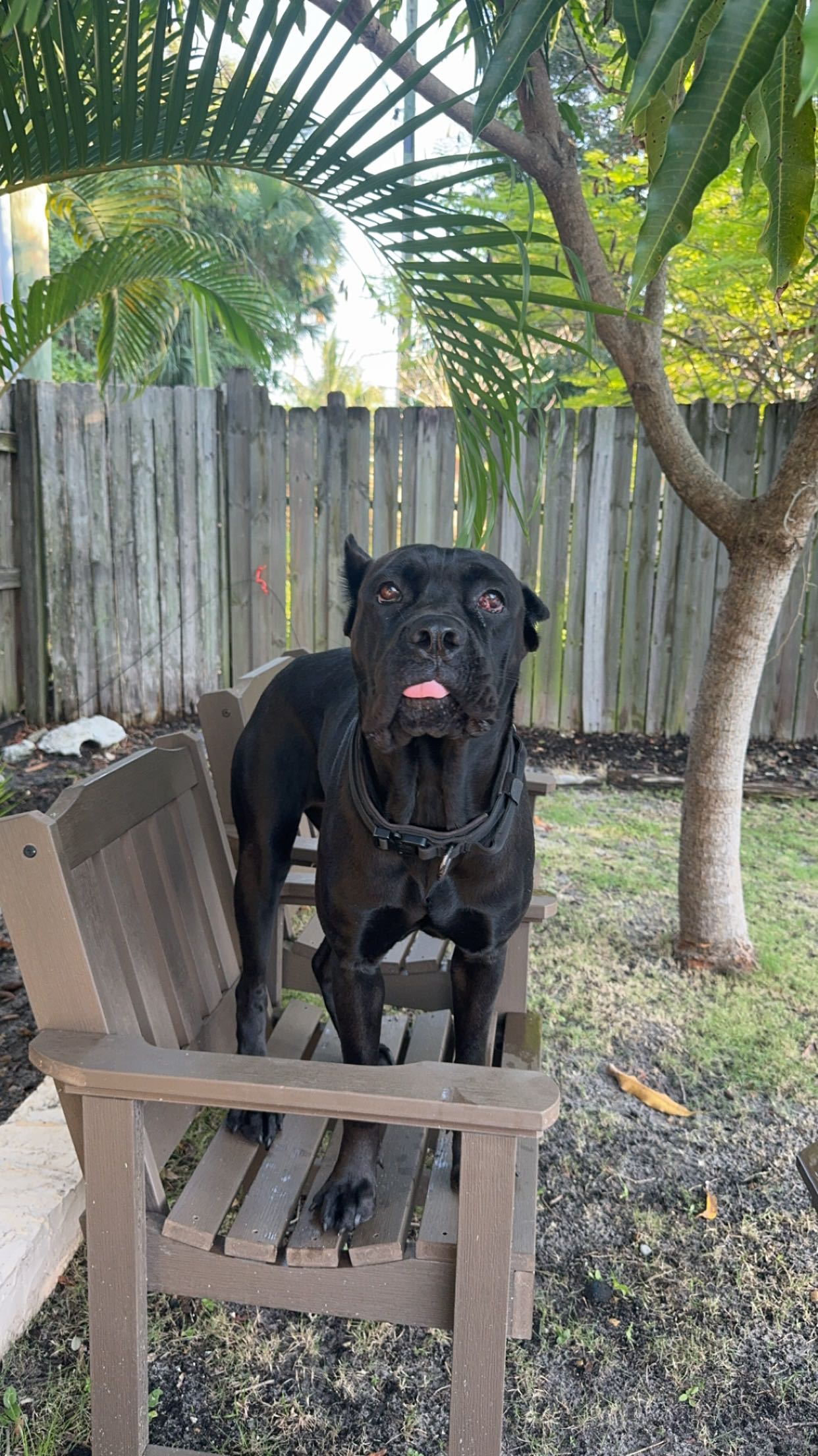 mckinley_1 snapchat image archive image