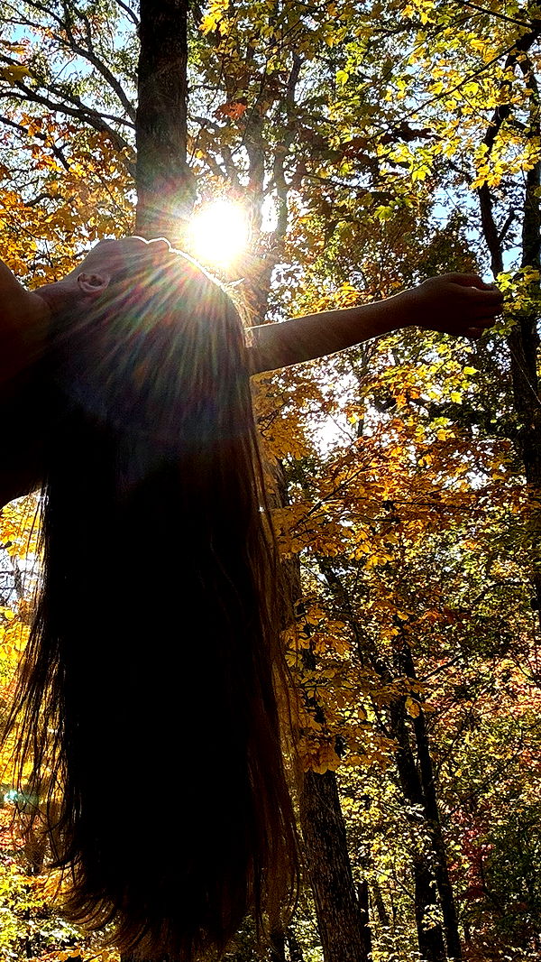 mckinley_1 image ~ Altpins