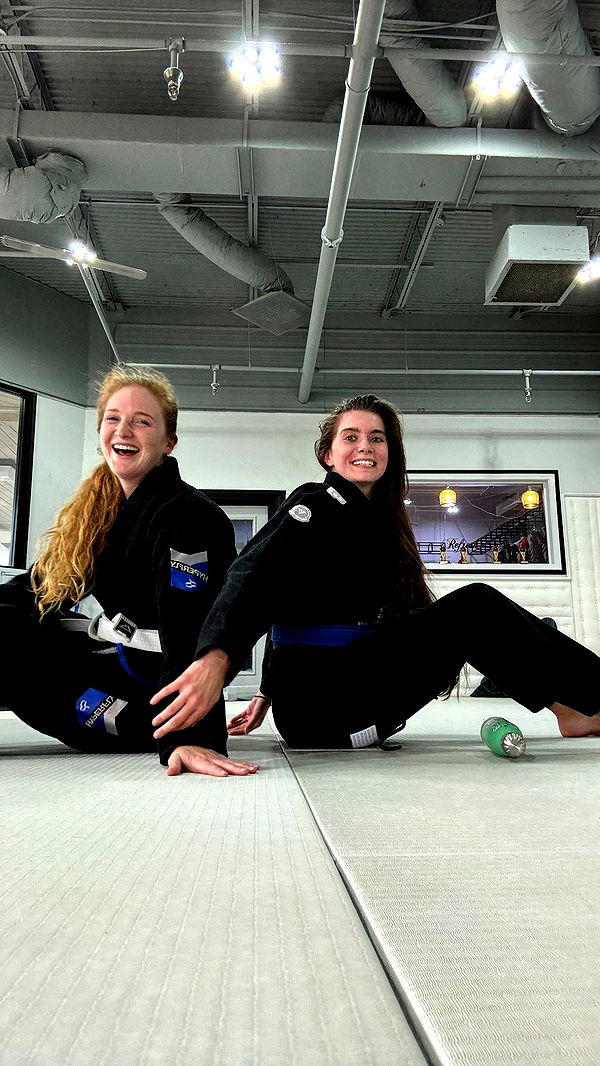 mckinley_1 image ~ Altpins