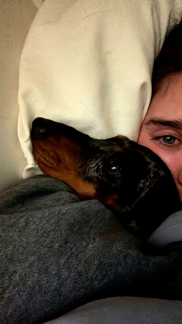 mckinley_1 image ~ Altpins