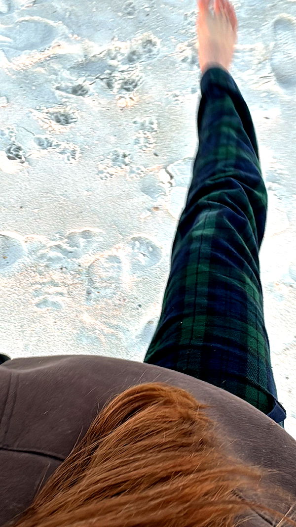 mckinley_1 image ~ Altpins